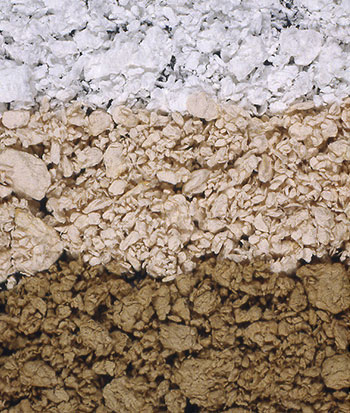 Wood pulp samples after processing