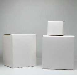 Blank white boxes