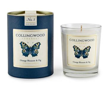Two blue and white containers of candles with a butterfly designed on the label.