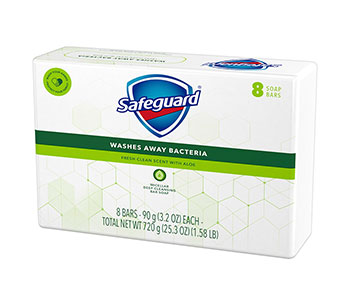 A white box with green horizontal lines and a shield logo that reads "Safeguard".