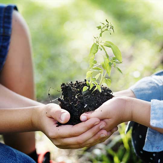 YourBoxSolution looking towards a sustainable future